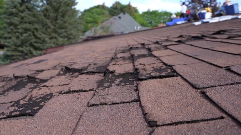 Reliable Mchenry, IL Roofing Service Solutions