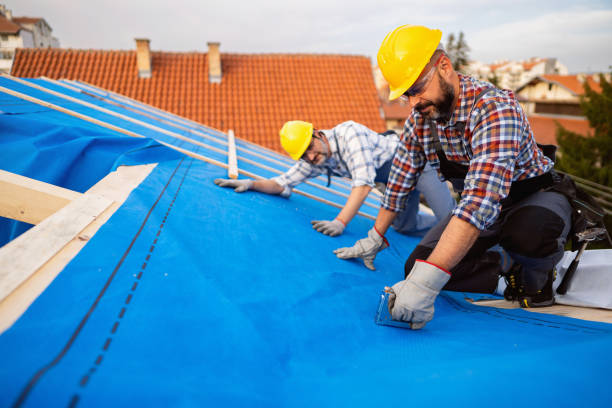 Best Roof Insulation Installation  in Mchenry, IL
